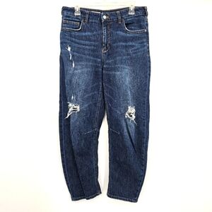 Anthropologie Pilcro The Bow Boyfriend Dark Wash Distressed Jeans Women's 29